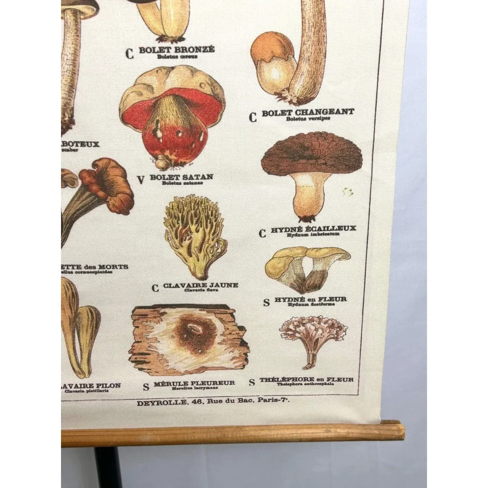 Vintage French Mushroom Botanical Scroll Wall Hanging Canvas Fungi Chart Art